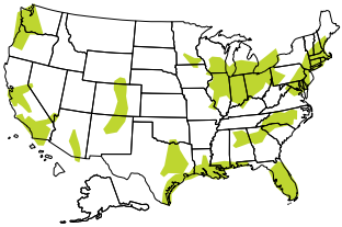 A map of the U.S. showing megaregions.