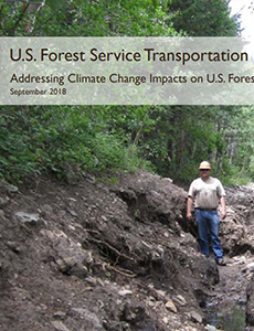 A man stands in a forest on top of exposed soil 