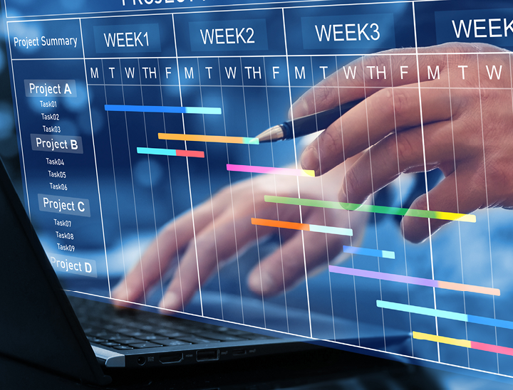 Hands typing a long a laptop and looking at a weekly calendar