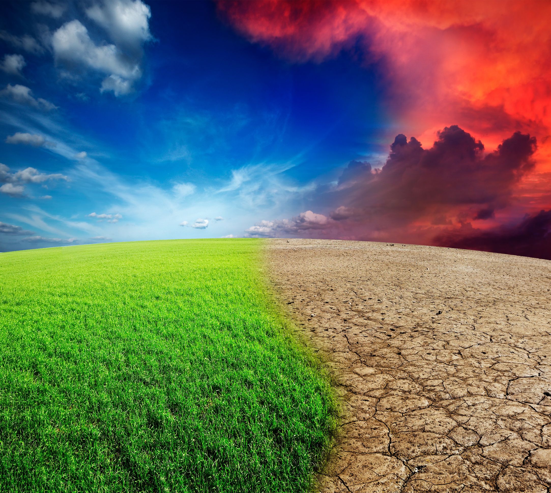 Climate change: a desert starts invading a lush green landscape.
