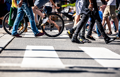 Pedestrians and cyclists cross a roadway in a crosswalk.