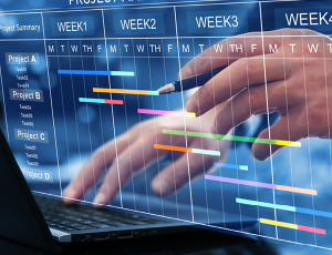 A person on a laptop looking at a work calendar