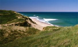 Beach dunes and the ocean at the Cape Cod National Seashore