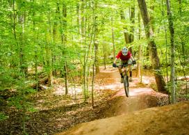 Mountain bicyclist riding on a trail in a green forest.