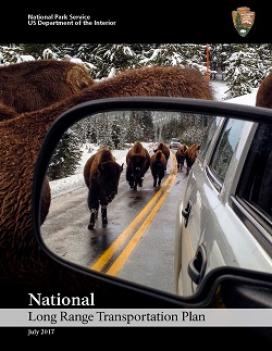 National Long Range Transportation Plan cover, showing several bison walking down the road in the side-view mirror of a car.