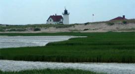 Ocean and marshs in the foreground, and a lighthouse in the background at the Cape Cod National Seashore.