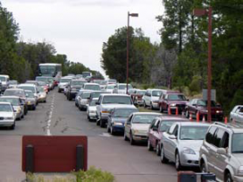 Dozens of cars wait in line to enter a park.