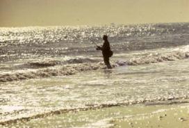 A visitor to the Gateway National Recreation Area fishes in the water
