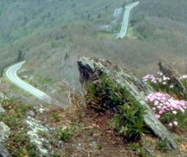 Trail overlook looking out over Skyline Drive at Shenandoah National Park
