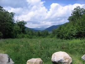 Mountain vista at White Mountain National Forest